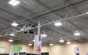 commercial pet store's ceiling with LED lighting installed